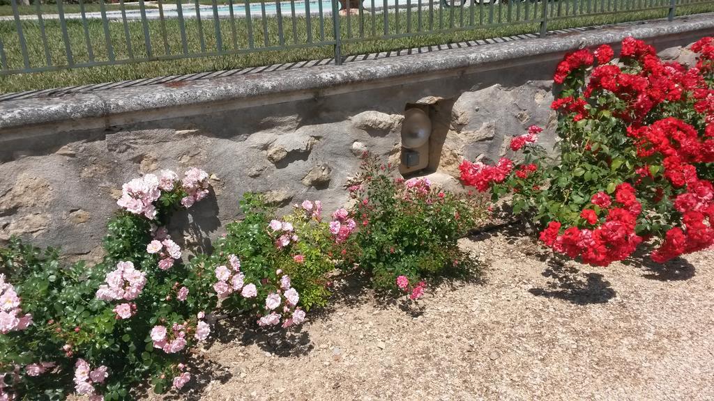 La Milane Bed & Breakfast Cabriès Dış mekan fotoğraf